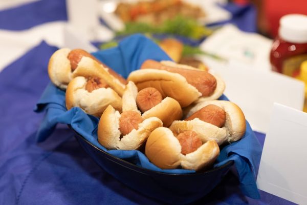 3A020238-BDB6-4CCF-B304-F133701604B1-600x400